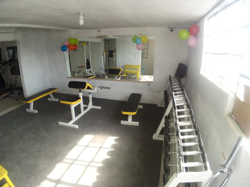 XDGYM - Visual