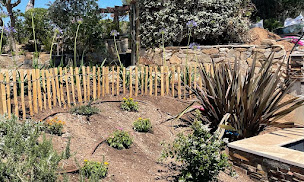 Photo n°18 de Carre Vert Service à Hyères (Service d'élagage)