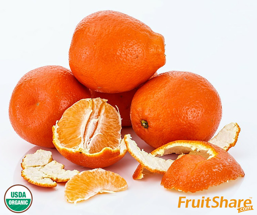 FruitShare - Visual