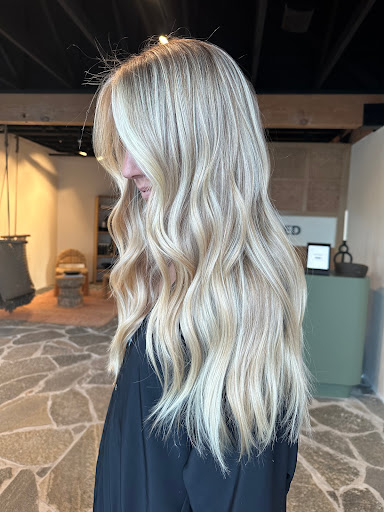 Stranded Salon - Visual