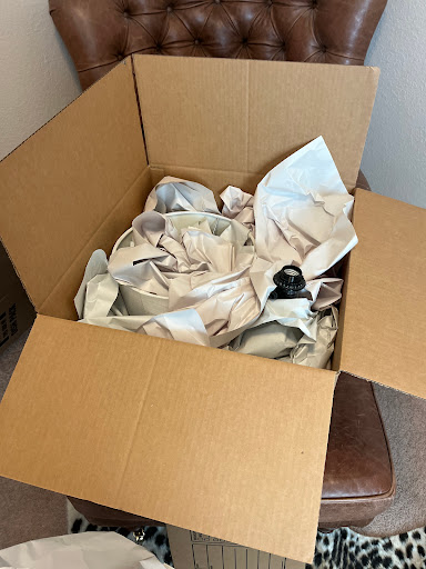 Champion Relocation - Visual