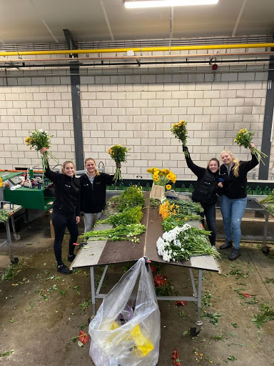 Broks Bloemen B.V. Uw Supermarktbloemist - Thumbnail