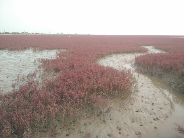 Red Beach