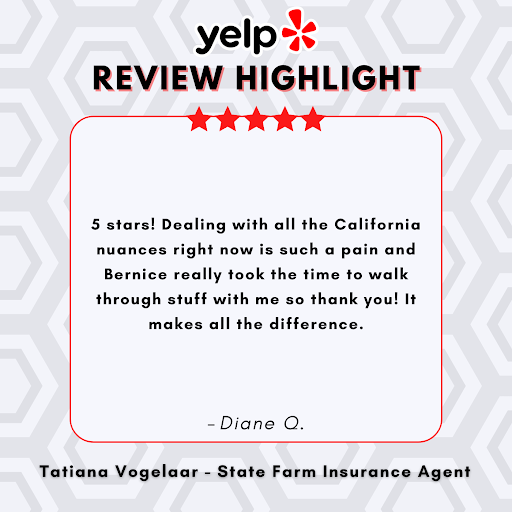 Tatiana Vogelaar - State Farm Insurance Agent - Thumbnail
