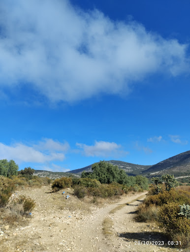 Cerro el colorado
