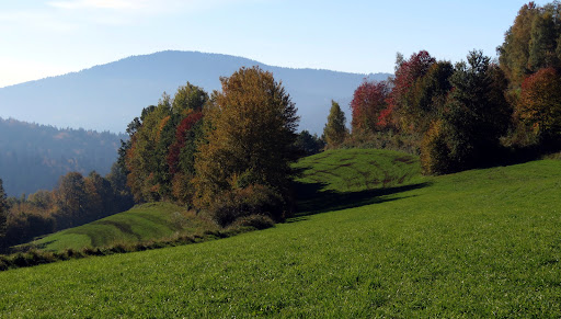 Marktgemeinde Lam - Visual