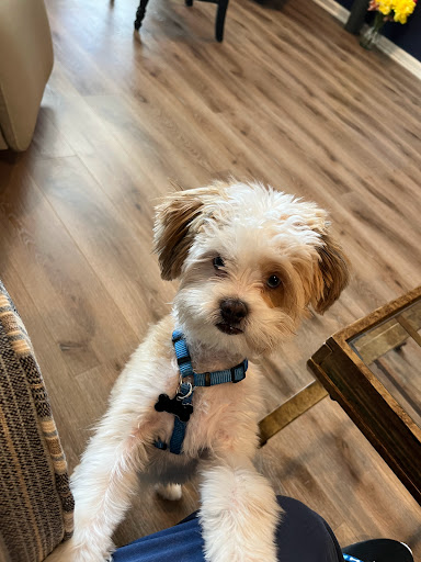 West Caldwell Animal Hospital - Thumbnail