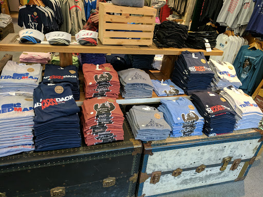 Bear Essentials - Visual