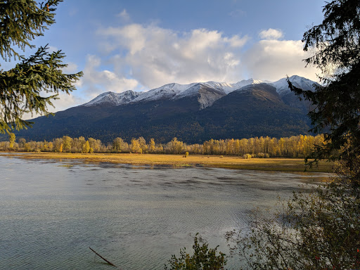 Swan View - Visual