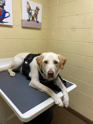 Powell Animal Hospital - United States
