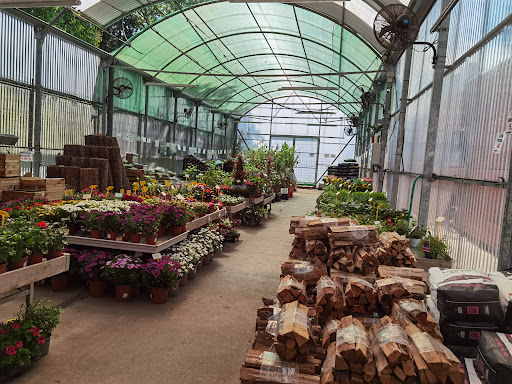 La Perpetuenca - Thumbnail