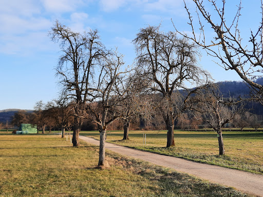 Obstlehrpfad - Thumbnail