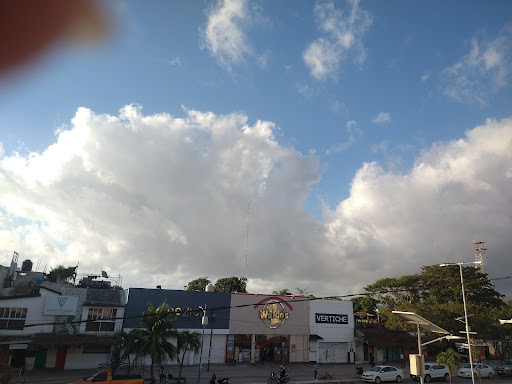 Waldo's Tulum - Thumbnail