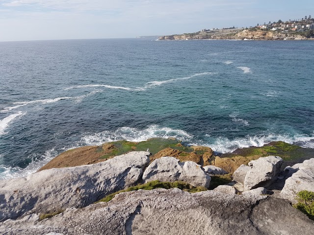 Bronte Beach