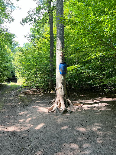 NaturFlowTrail MTB R4 "Lindwurm" - Thumbnail
