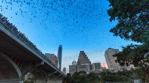Lone Star Kayak Tours