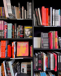 Photo n°3 de Dialogues Musiques à Brest (Magasin de disques)