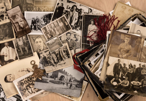 🏛️ Cécile Fauvet Généalogiste Successorale