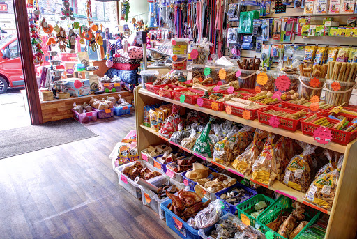 Ivegate Pet Shop - Thumbnail