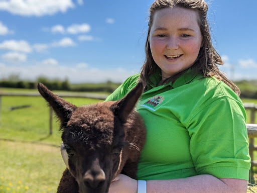 Woolley Animals Alpaca Walking & Farm Park