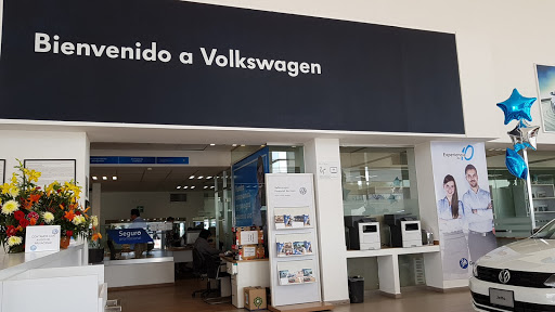 Volkswagen Vaqcsa Feb. 5