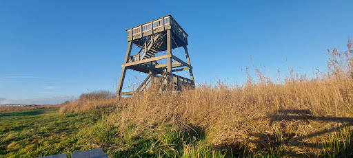 Natuurkampeerterrein De Reidplûm