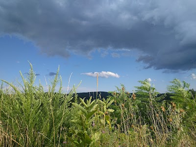 Turk Mountain Overlook