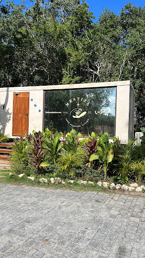 Jaguar Tulum Real Estate Gallery - Mexico