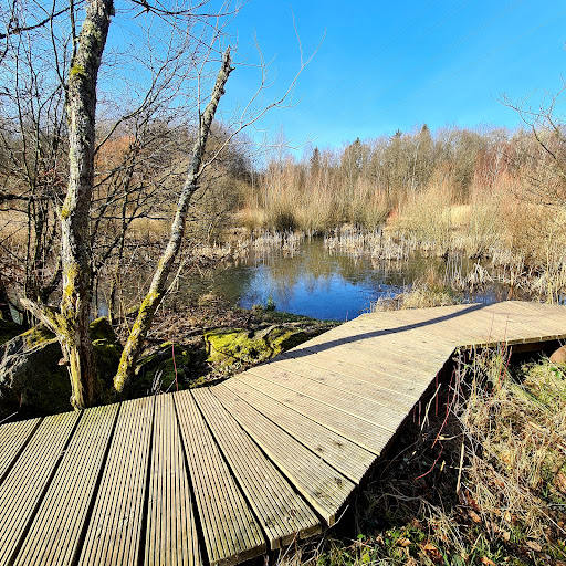 Zwölfweiherweg - Visual