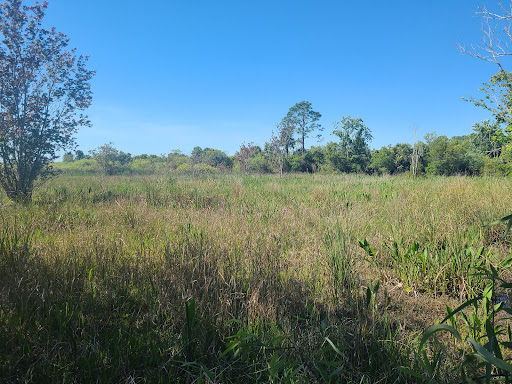 CREW Marsh Trails - Visual