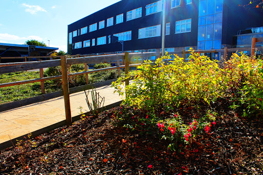 Greensward Academy