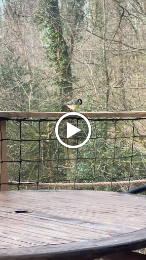 Photo de Vallée de Pratmeur à Quistinic (56310)