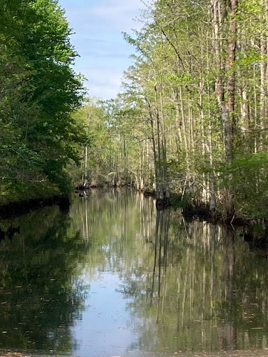 North River Game Land - Thumbnail