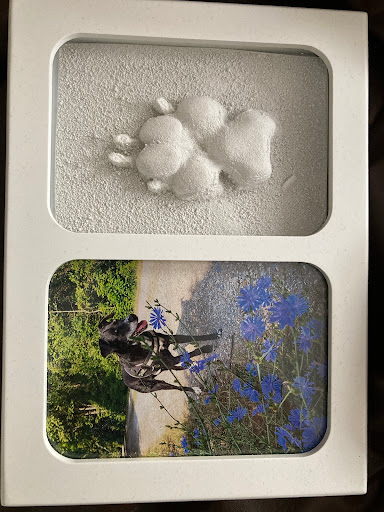 Abendwolke Tierbestattungen - Thumbnail