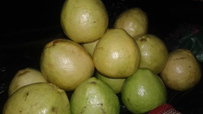 Photos of Penatapan Doulu