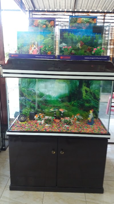 Photos of Pasaman Aquarium