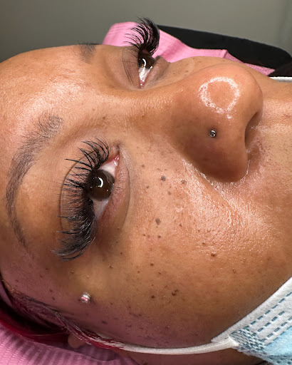 Literally Lashed - Visual
