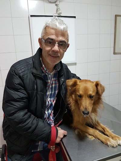 Photos of Veterinary Care Center San Marcos S.A.