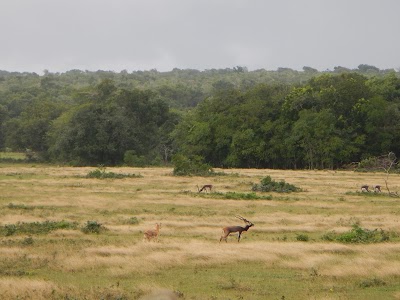 Photos of Cayo Saetia