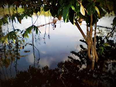 Photos of Laguna La Gloria