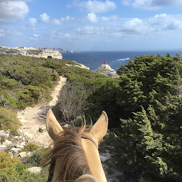 Photo n°34 de Country Horse à Lecci (Centre équestre)