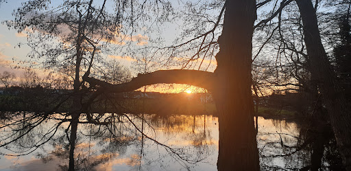 Beierbachsee - Thumbnail