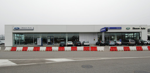 Ford Bisson Auto - Visual