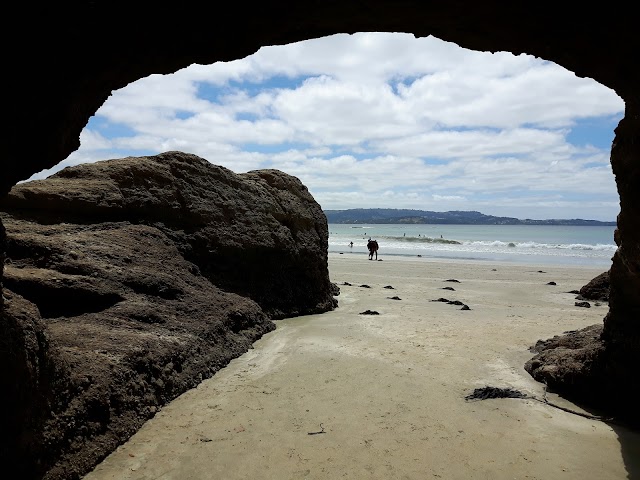 Tawharanui Regional Park