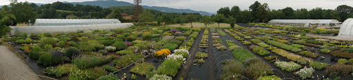 Photo de Jardin des Alpes