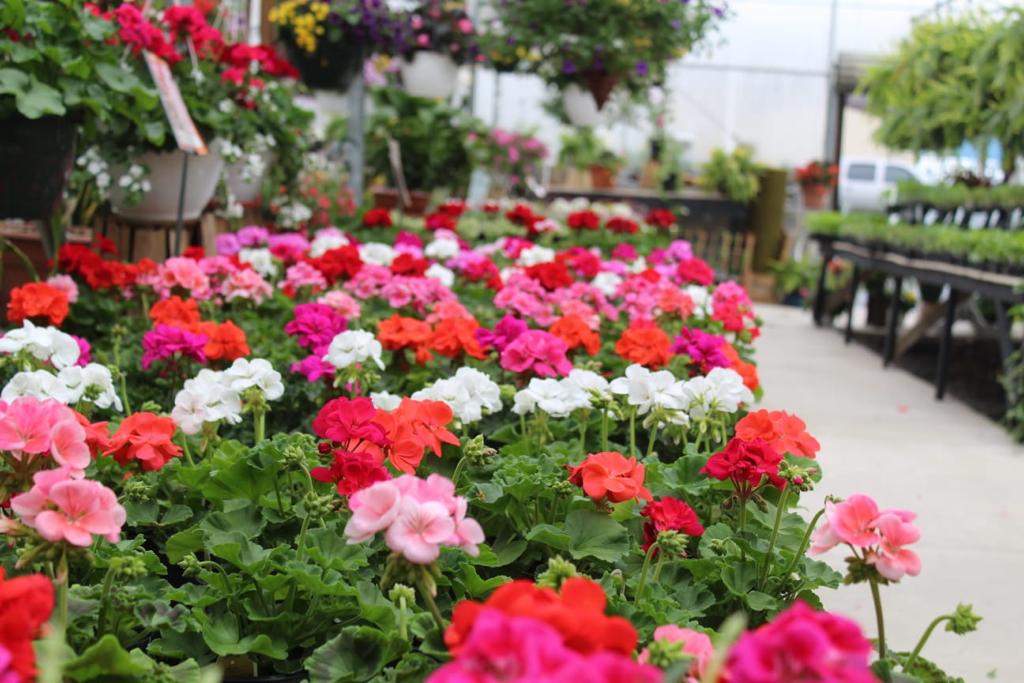 Tuckaway farm and greenhouse
