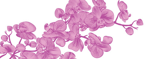 Wild Orchid Salon Urody i Salon Fryzjerski