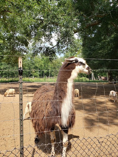 Pettit Creek Farms