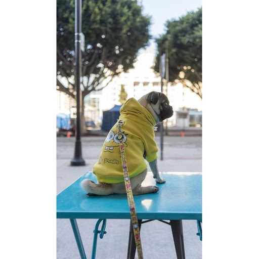 BadDoggo - Visual