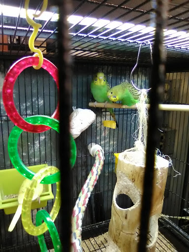 The Pet Works - Thumbnail